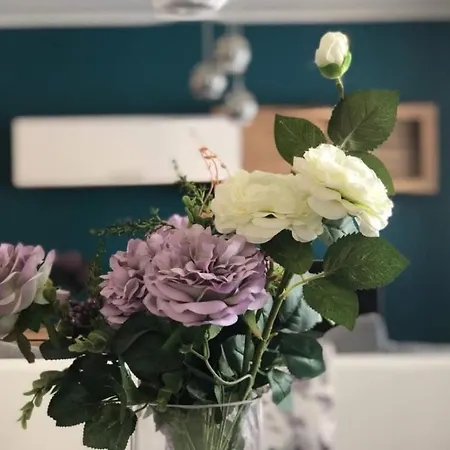 House In With Balcony, Air Conditioning, W-lan, Washing Machine Zadar